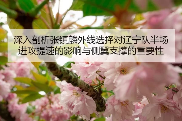 深入剖析张镇麟外线选择对辽宁队半场进攻提速的影响与侧翼支撑的重要性